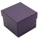 Purple Soft Touch Lighted Earring Box