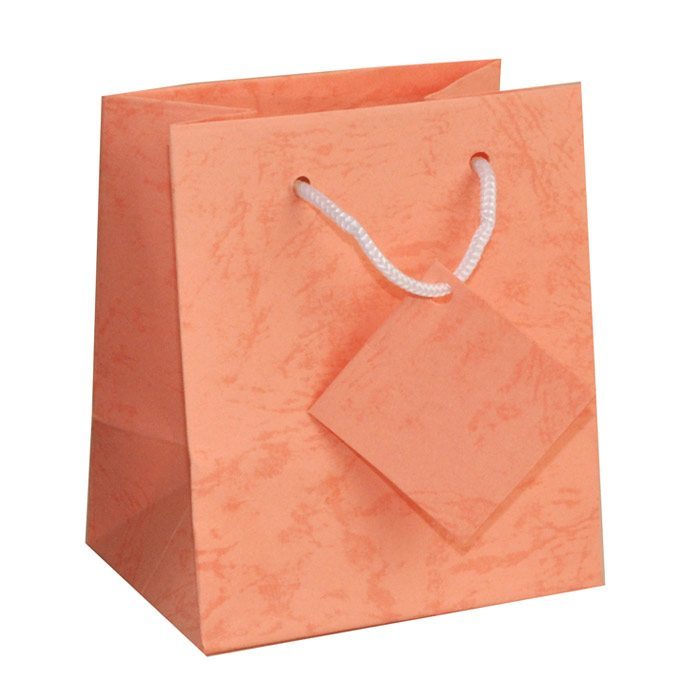 Pink Paper Tote Gift Shopping Bags, 4