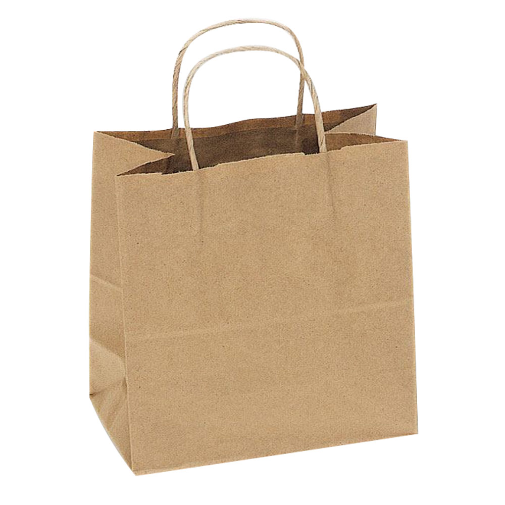 Brown Kraft Paper Gift Shopping Bag with Handle, 9-1/2